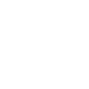 Simplified QR Code Icon